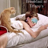 BedRoom_0005_Breakfast-at-Tiffany’s