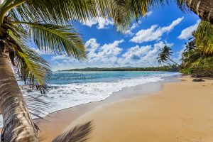 palmas del mar amenities harbour lakes