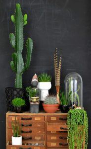 houseplants-display-ideas-3