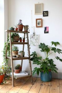 houseplants-display-ideas-6