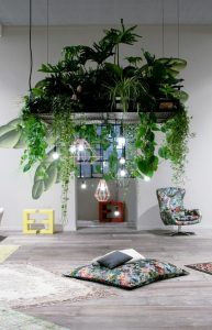 houseplants-display-ideas-7